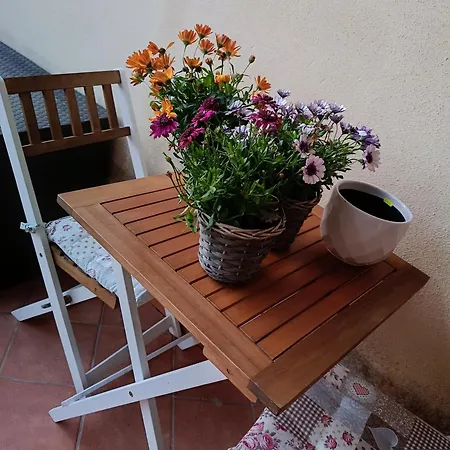 Apartment Rena Majorehome