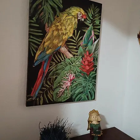 Rena Majorehome, With Parking *