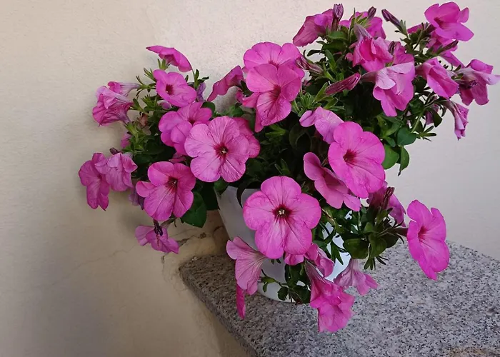 Rena Majorehome, With Parking Apartman Rena Majore